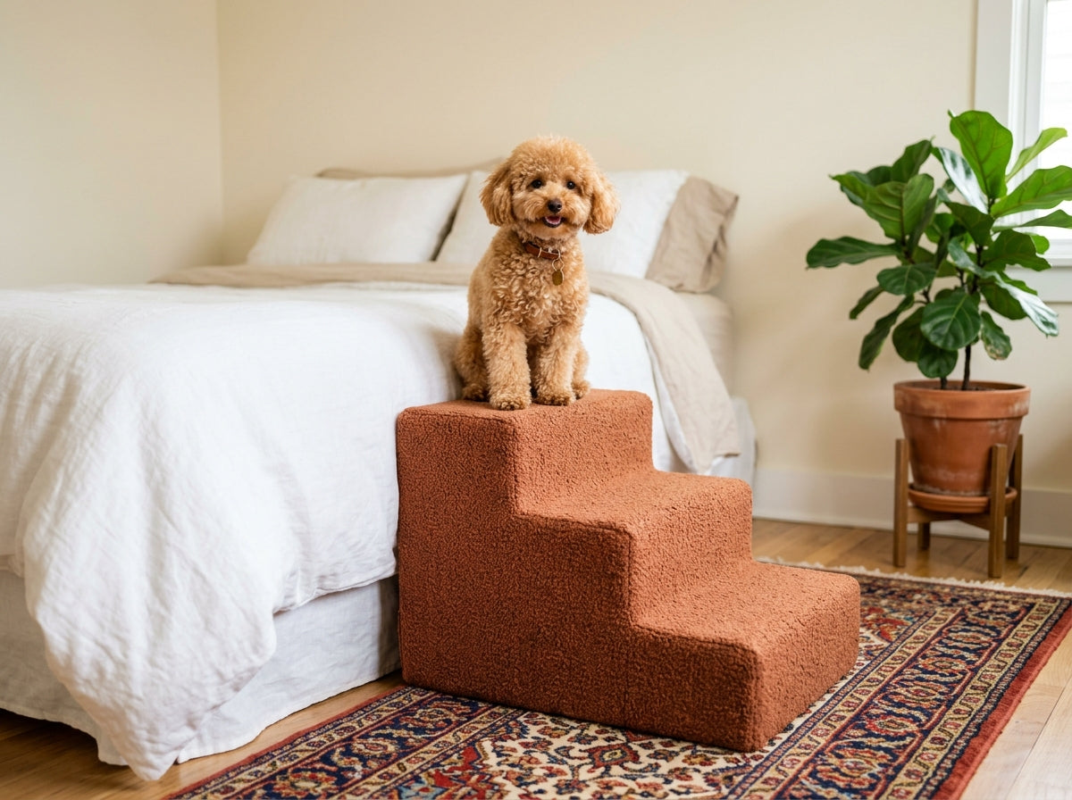 Cozy Pet Steps